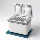Validated 2–8 °C insulated shipper — laboratory equipment